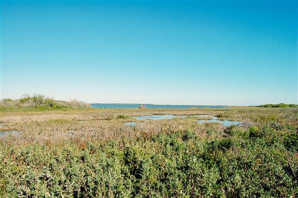 Goose Island State Park (12/2/2010)