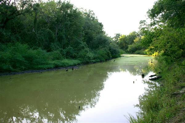 Mineola Nature Preserve (2/11/2009 - Credits: FFTX)