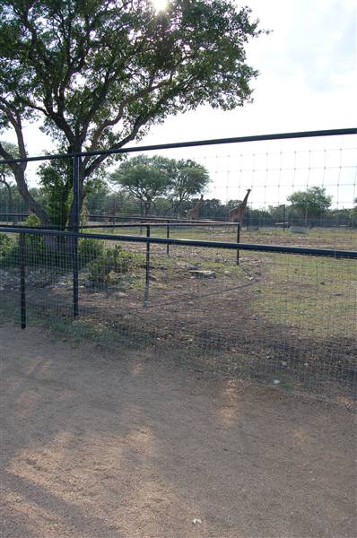 Natural Bridge Wildlife Ranch (4/7/2011)