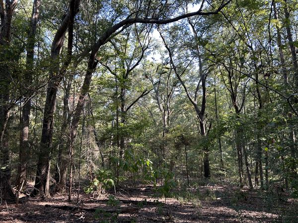 Flournoy Farm (9/24/2024 - Credits: submitted by: Sue Wisdom)