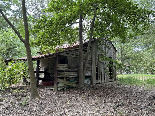 Flournoy Farm (9/24/2024 - Credits: submitted by: Sue Wisdom)