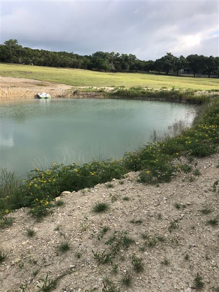 Double T Ranch (9/1/2024 - Credits: David Saidi)