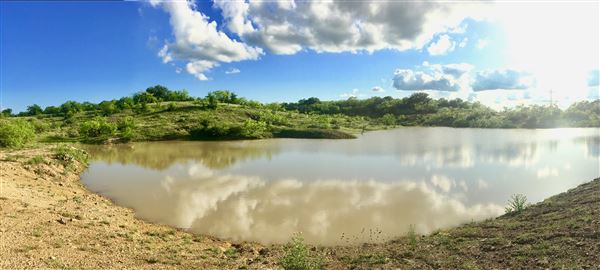 Tipton Ranch (10/11/2024 - Credits: John Cochran)