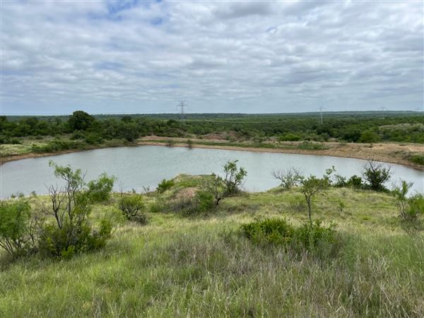 Tipton Ranch (10/11/2024 - Credits: John Cochran)