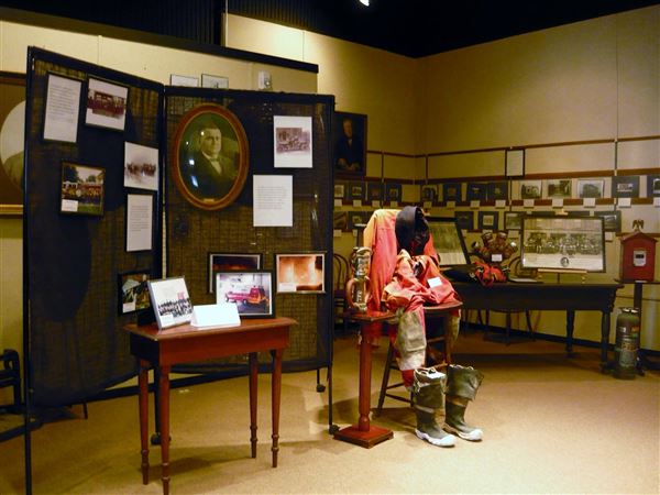 Terrell Heritage Museum in Old Carnegie Library (2/5/2025 5:16:10 PM - Credits: submitted by:)