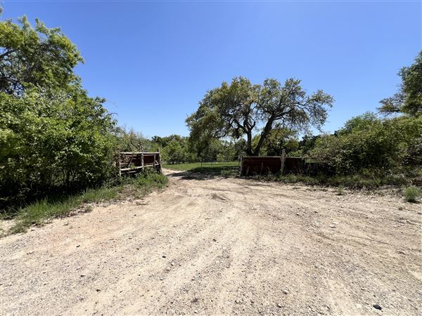 Lost Creek at Wimberley (3/4/2025 - Credits: Todd Nasca)