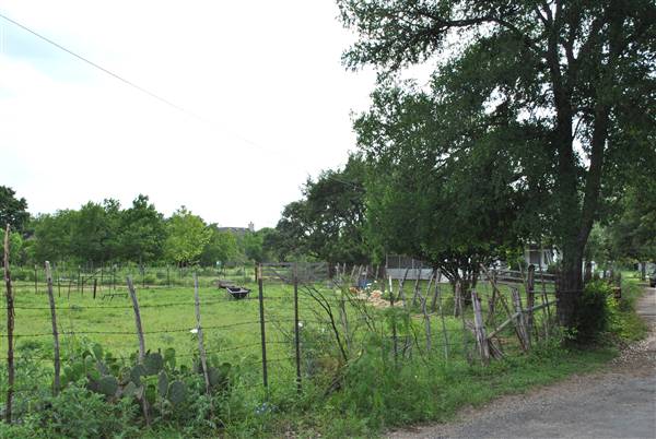 Phil Hardberger Park (4/7/2012)