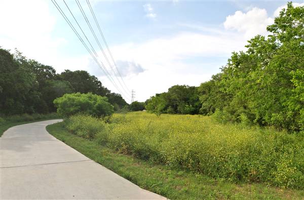 Phil Hardberger Park (4/7/2012)