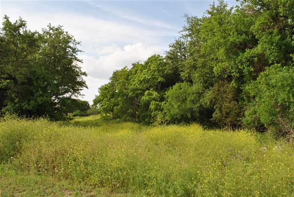 Phil Hardberger Park (4/7/2012)