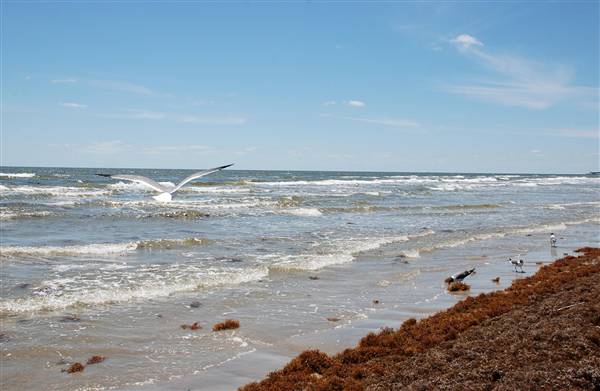 Stewart Beach (4/19/2012)