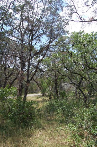 Eisenhower Park (4/28/2012)