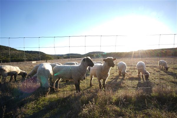 Four Winns Ranch (1/29/2026 - Credits: Jamal Burrell)