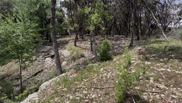 Riva Ridge (2/4/2026 - Credits: submitted by: Sabina  Nugent)
