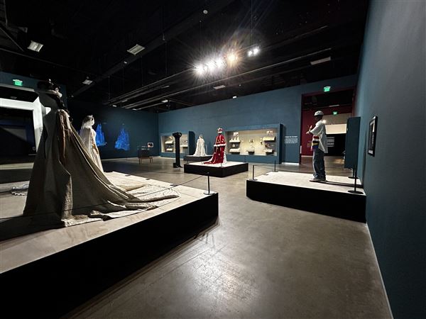 Arlington Museum of Art (8/15/2025 - Credits: submitted by: Jeremy Thomas)