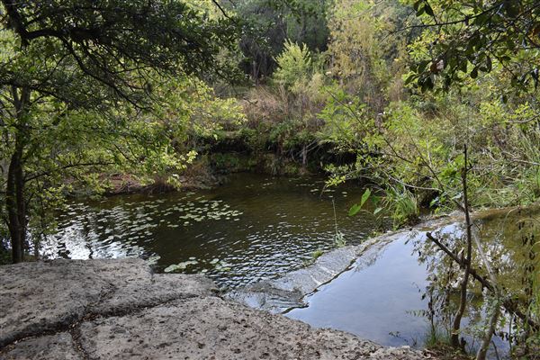 Hamilton Greenbelt Park (1/12/2026 - Credits: City of Lakeway)