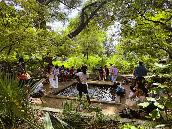 Texas Discovery Gardens (2/5/2026 - Credits: Austin Flores)