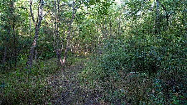 The Oaks of Anahuac (9/12/2025 - Credits: Houston Film Commission)