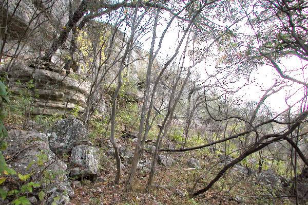 Milton Reimers Ranch County Park (11/29/2004)