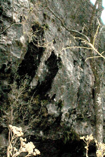 Milton Reimers Ranch County Park (11/29/2004)