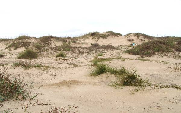 Boca Chica Beach & Dunes (3/2/2005)