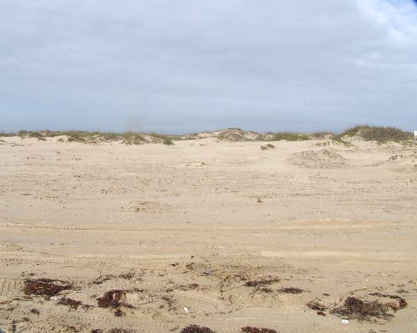 Boca Chica Beach & Dunes (3/2/2005)