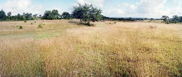 Storm Ranch (10/1/2001)