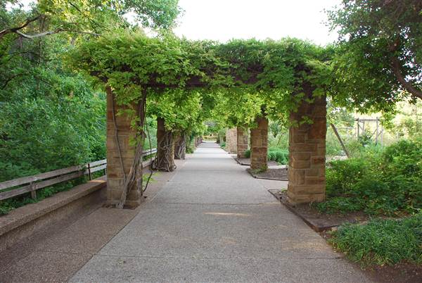 Fort Worth Botanic Garden - Rose Garden (5/16/2012)