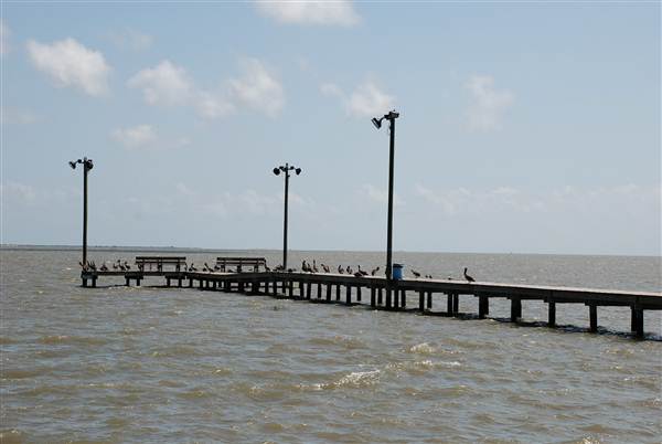 Palacios Seawall (5/30/2012)