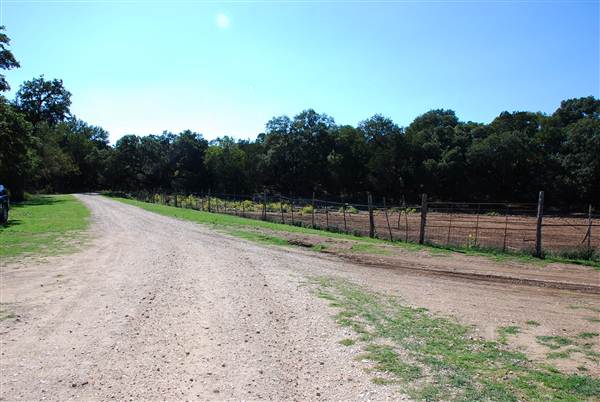 Flying L Guest Ranch (10/8/2012)