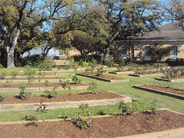 Houston Garden Center (3/7/2013)