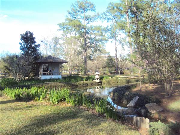 Japanese Garden in Hermann Park (3/7/2013)