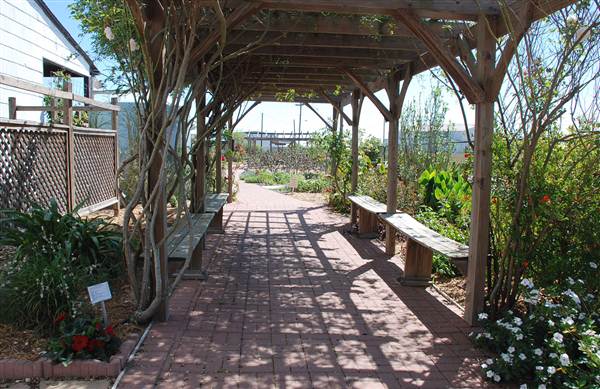 Victoria Educational Gardens (4/4/2013)