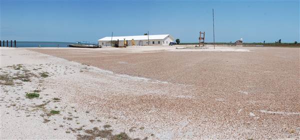 Matagorda Island (4/4/2013)