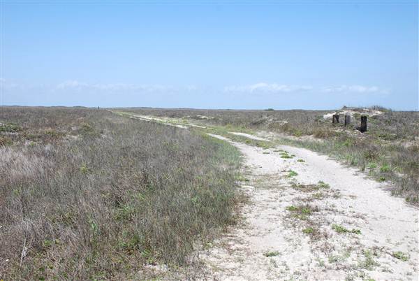 Matagorda Island (4/4/2013)