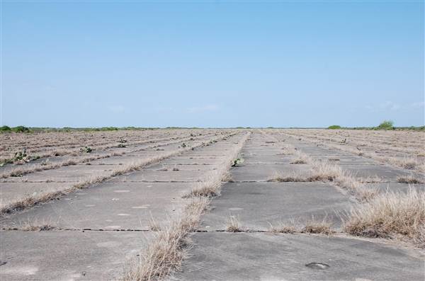 Matagorda Island (4/4/2013)