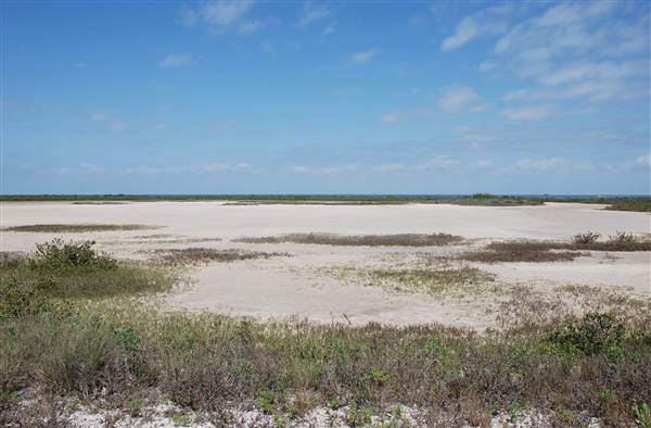 Matagorda Island (4/4/2013)