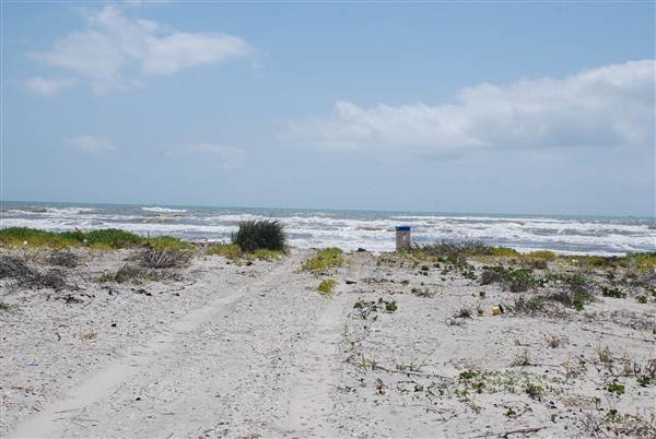 Matagorda Island (4/4/2013)
