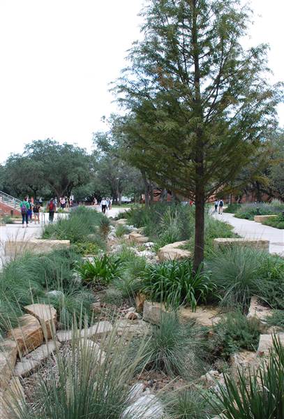 Trinity University (10/22/2014)