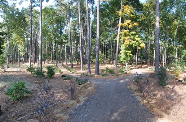 Gayla Mize Garden (11/11/2014)