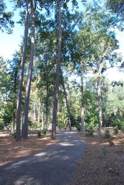 Gayla Mize Garden (11/11/2014)