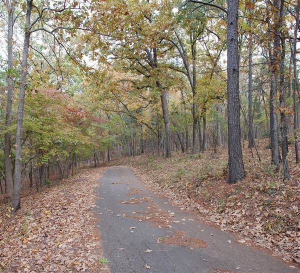 Davey Dogwood Park (11/13/2014)