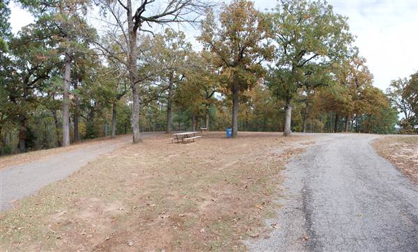 Davey Dogwood Park (11/13/2014)
