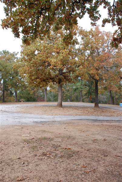Davey Dogwood Park (11/13/2014)
