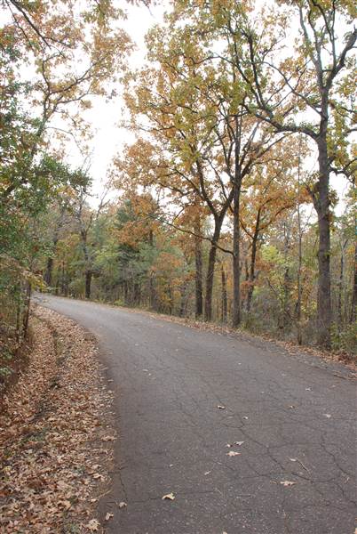Davey Dogwood Park (11/13/2014)