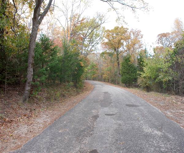 Davey Dogwood Park (11/13/2014)
