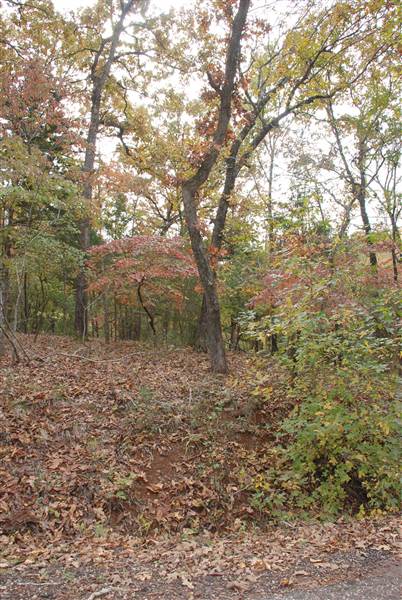 Davey Dogwood Park (11/13/2014)