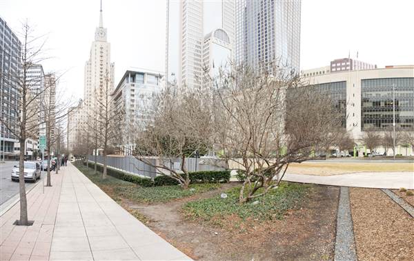 Main Street Garden (1/14/2015)