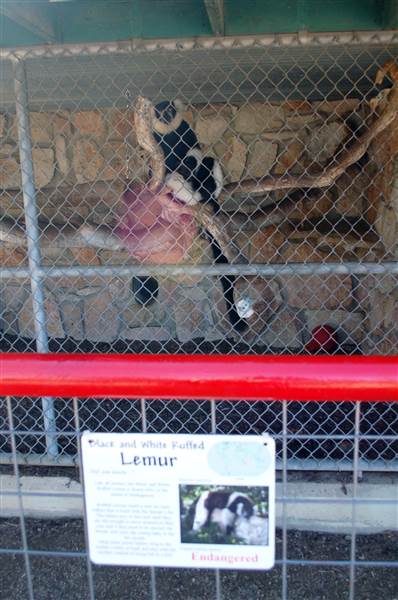 Animal World and Snake Farm (1/19/2015)