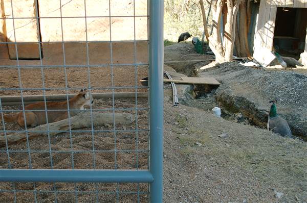 Animal World and Snake Farm (1/19/2015)
