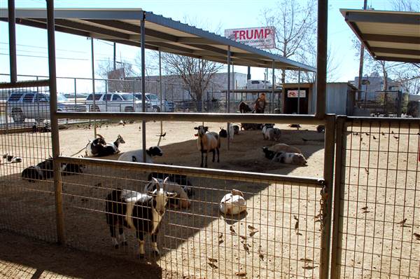 Animal World and Snake Farm (1/19/2015)